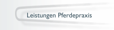 Leistungen Pferdepraxis